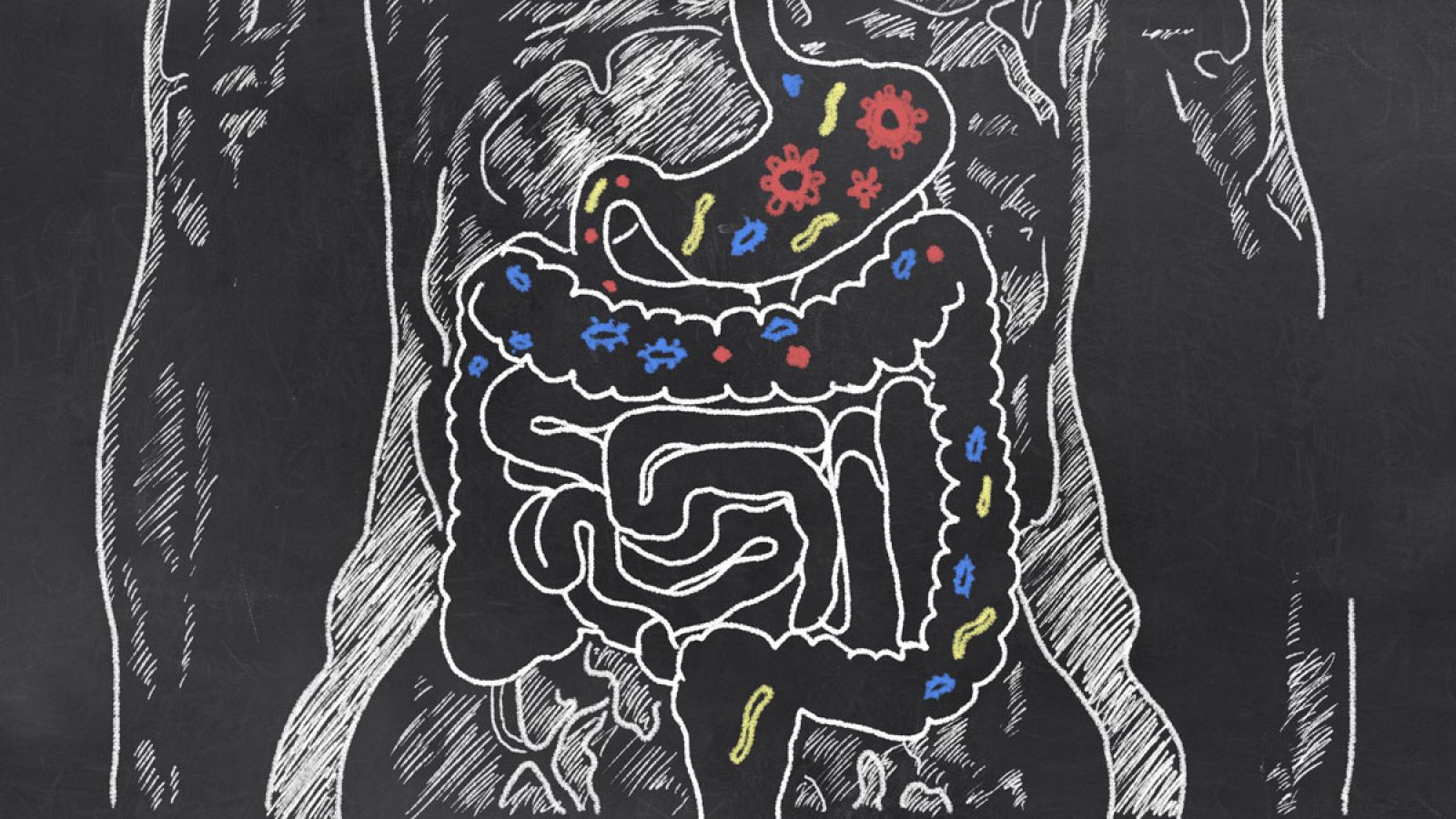 microbiota