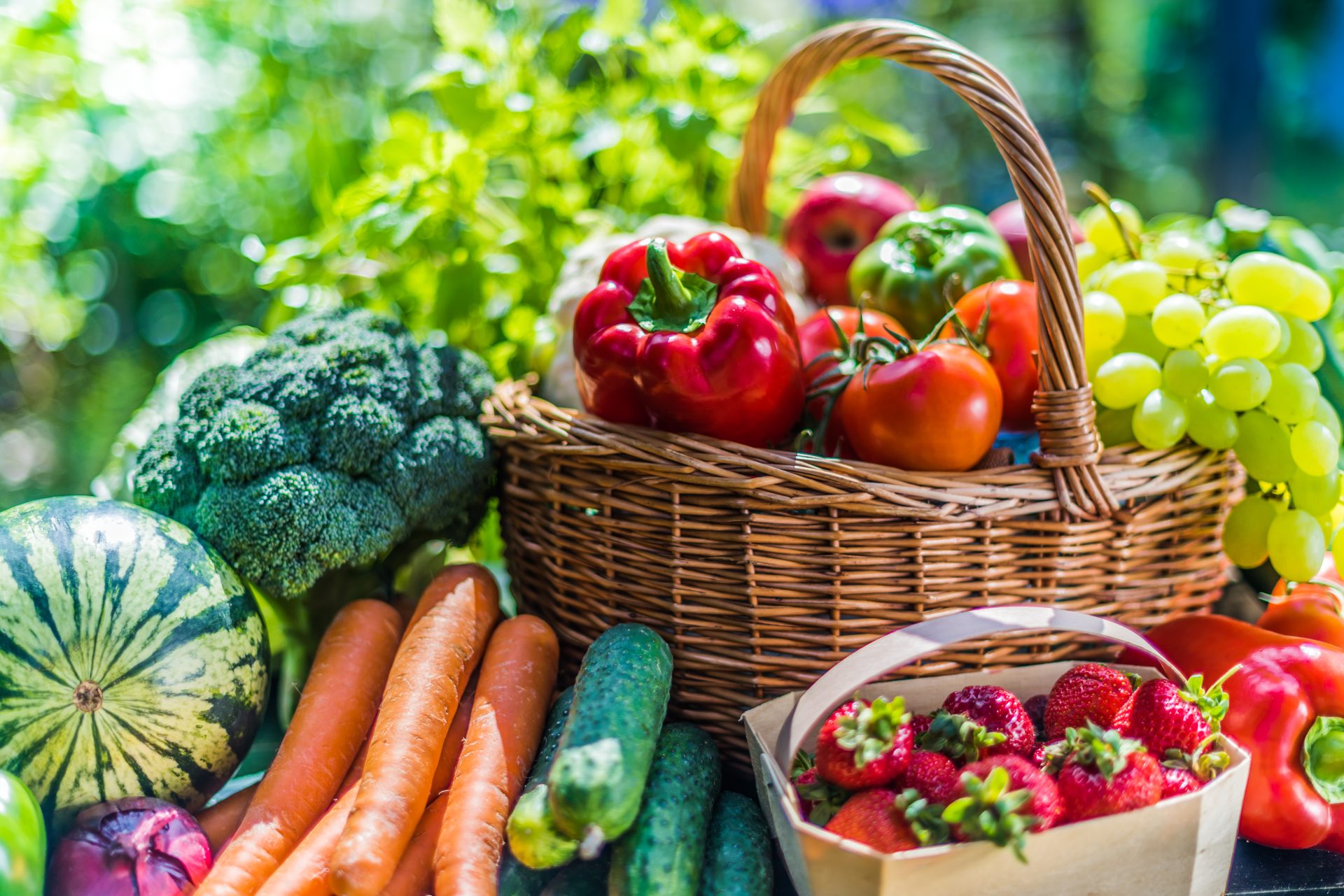 verduras