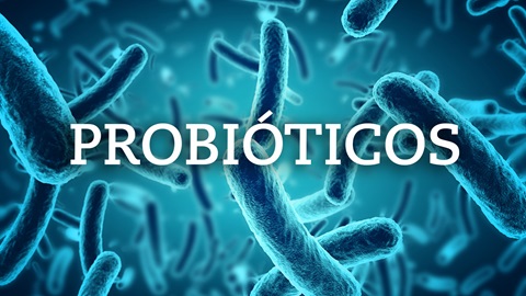 probioticos