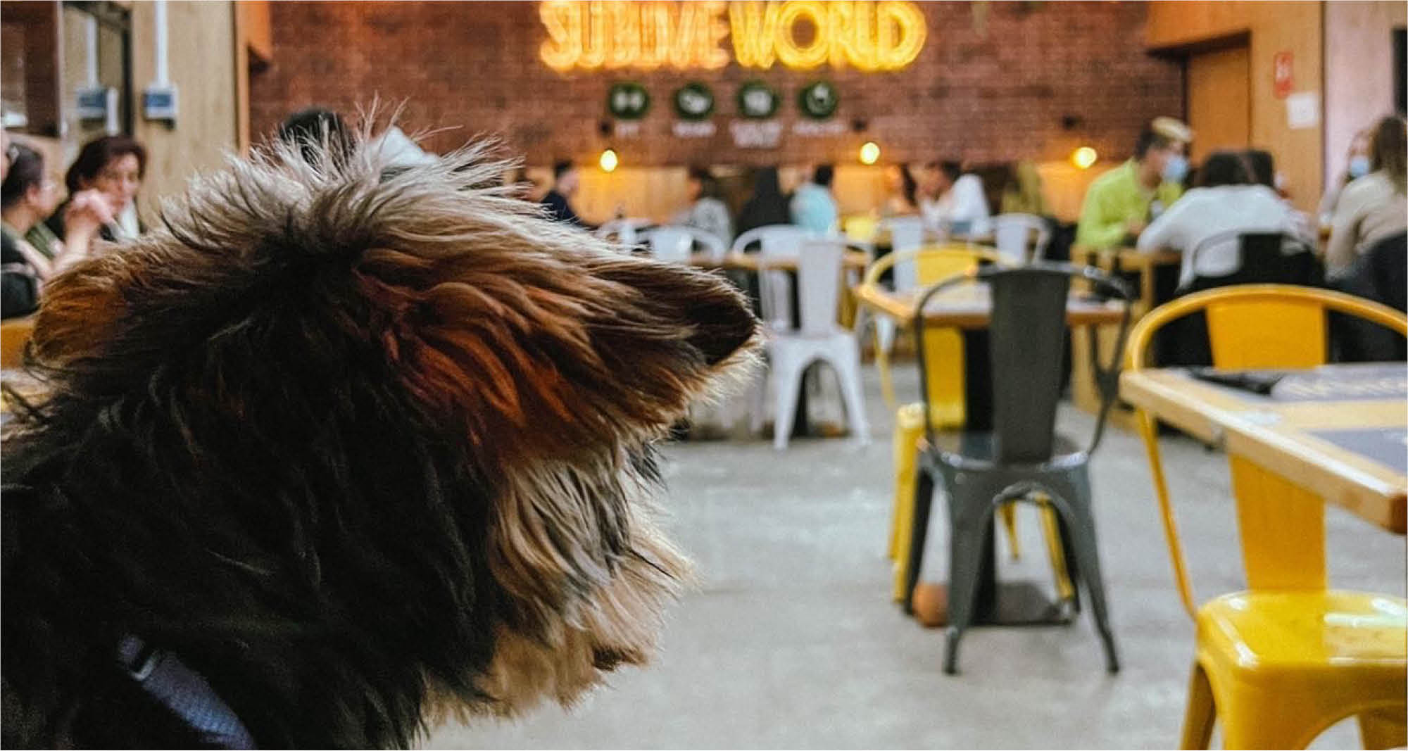 restaurante sublime